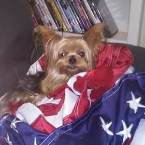 Meet your Posher, Jim